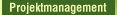 Projektmanagement